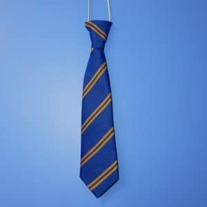 Blue & Yellow Striped Elastic Tie