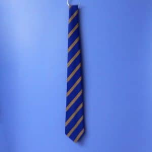 Blue & Yellow Striped Standard Tie