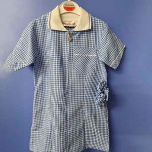 Blue Gingham Dress