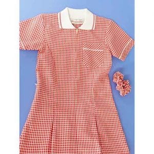 Red Gingham Dress